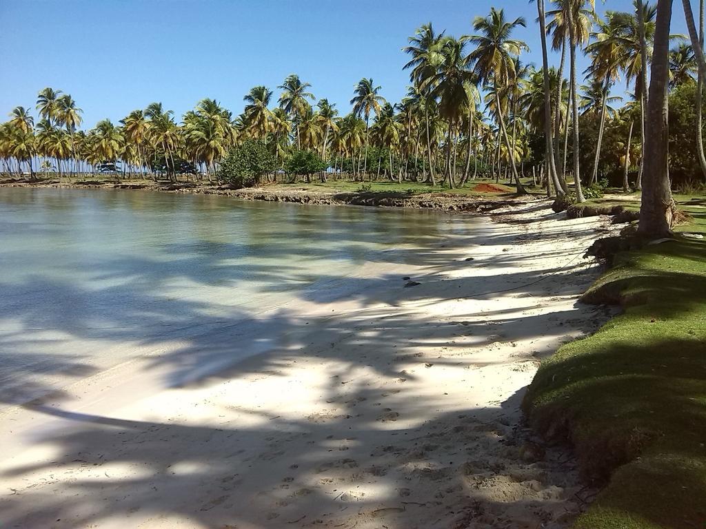 21 Palms Hotel Las Galeras Exterior photo